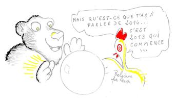 bonne année 2013 bis