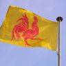 drapeau wallon