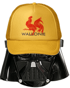 dark vador wallon